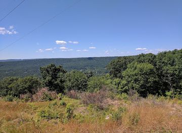 pennsylvania/appalachian-mountains/landmark/boyd-big-tree-preserve-conservation-area