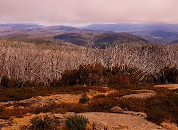 australia/great-southern/landmark/yarra-ranges-national-park