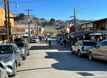 arizona/kingman/landmark/desert-wonder-tours