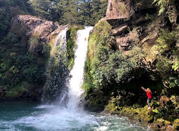 new-zealand/tongariro-national-park/landmark/tawhai-falls-gollums-pool