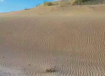 argentina/pampas/landmark/campos-del-tuyu-national-park