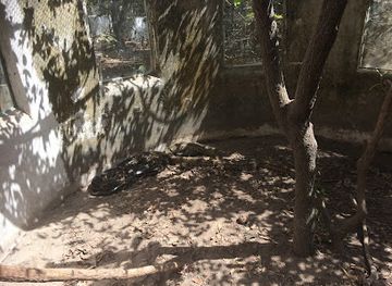 the-gambia/tendaba-camp/landmark/the-gambian-reptiles-farm