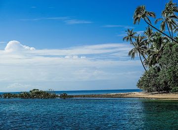 australia/cape-tribulation/landmark/far-north-escapes