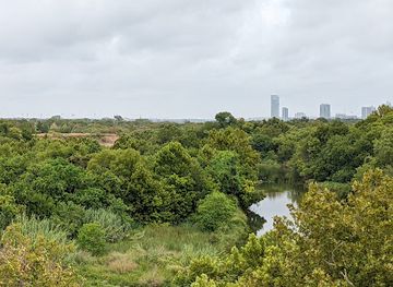texas/central-texas/landmark/historic-montopolis-bridge