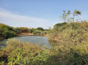 senegal/mbour/landmark/bandia-reserve