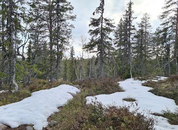 sweden/dalarna/landmark/tandovala