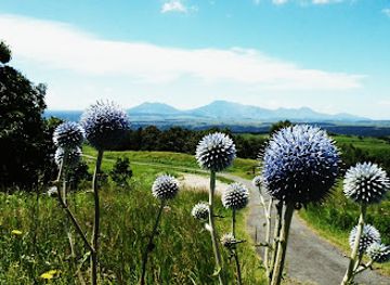 japan/higo/landmark/higotai-park