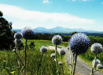 Higotai Park