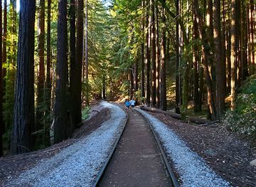 california/redwood-national-and-state-parks/landmark/garden-of-eden-henry-cowell-redwood-state-park