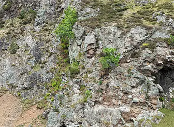Soldiers Head