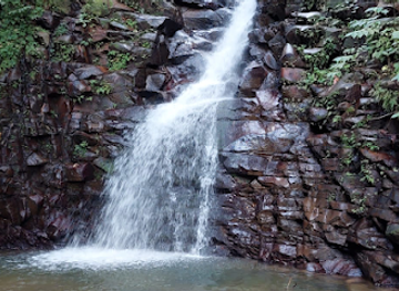 saint-lucia/pitons/landmark/wayne-s-tours-hikes