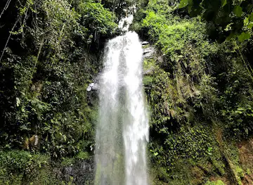 BAJO MONOd CAMPING SITE, BOQUETE