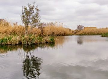 jordan/azraq-wetland-reserve/landmark/azraq-wetlands-reserve