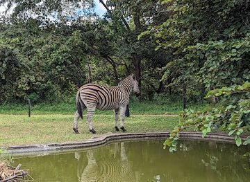 malawi/majete-wildlife-reserve/landmark/kuti-wildlife-reserve