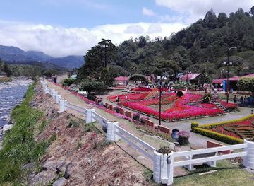 panama/chiriqui-highlands/landmark/boquete-bees-and-butterflies