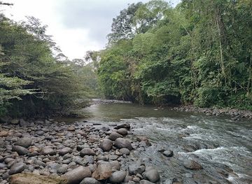 ecuador/oriente/landmark/paseo-turistico-del-rio-puyo