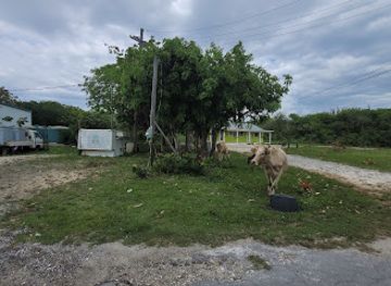 the-bahamas/eleuthera/landmark/eleuthera-island-farm