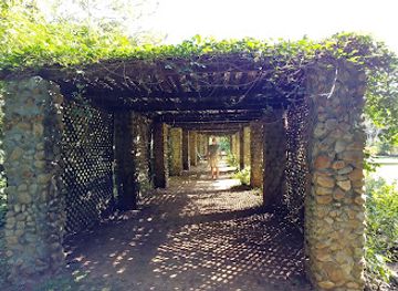 belize/caracol/landmark/belize-botanic-gardens