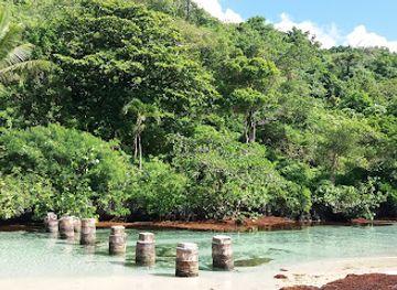 dominican-republic/samana-peninsula/landmark/playa-rincon