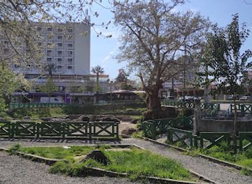 albania/librazhd/landmark/plane-tree-of-bezistan