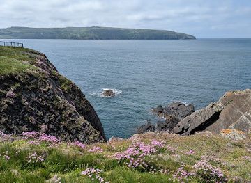 united-kingdom/cardiganshire/landmark/cardigan-island-coastal-farm-park
