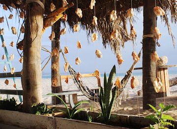 cabo-verde/sal-rei/landmark/kitekriol-kite-surf-school-boa-vista