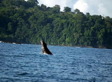 costa-rica/osa-peninsula/landmark/corcovado-beach