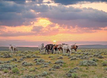 wyoming/fremont-county/landmark/ice-slough