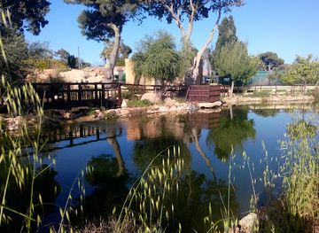 malta/central-region/landmark/ta-qali-petting-farm