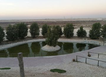 qatar/al-thakira-mangroves/landmark/al-khor-hill-park