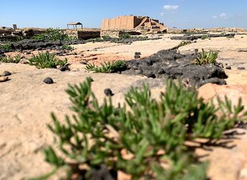 iraq/northern-iraq/landmark/ur