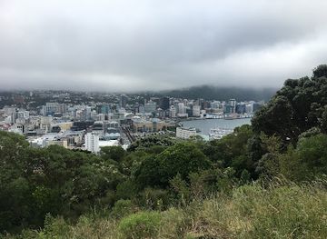 new-zealand/wellington/mount-victoria/landmark/mount-alfred-summit