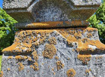 illinois/northwestern-illinois/landmark/bloods-point-rd-cemetery