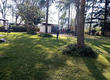 zimbabwe/bvumba-botanical-gardens/landmark/vumba-gateway-gardens-and-curios