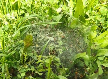 israel/safed/landmark/Yad-Gadi