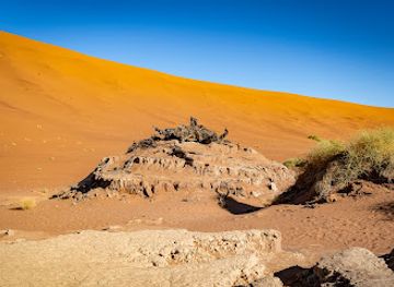 namibia/etosha-national-park/landmark/big-daddy-dune