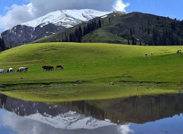 pakistan/kaghan/landmark/paya-meadows