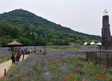south-korea/incheon/landmark/jangsudong-ginkgo-tree