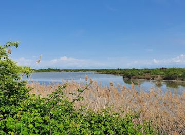 italy/friuli-venezia-giulia/landmark/canal-novo-valley-nature-reserve