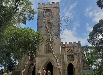 barbados/saint-michael/landmark/island-safari-b-dos-ltd