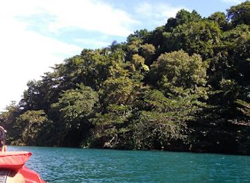 jamaica/john-crow-mountains/landmark/pellew-island