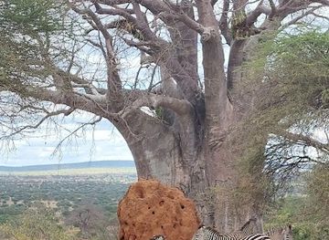 tanzania/kilimanjaro-region/landmark/oserok-trips-tanzania-private-guided-safaris-kilimanjaro-private-guided-hikes-tanzania-locally-owned-tour-company