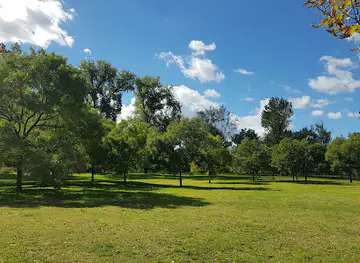 Limanski Park