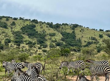 rwanda/akagera-national-park/landmark/rwagasabo-safaris-rwanda