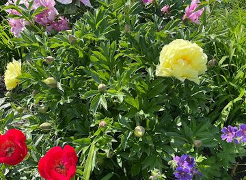 germany/baden/landmark/benazet-weg