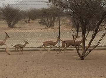 oman/al-hajar-ash-sharqi/landmark/al-saleel-national-park