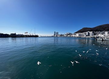 south-korea/busan-beaches/landmark/jagalchi-market