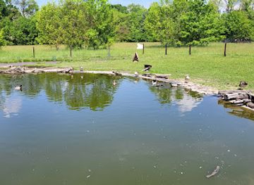 hungary/koros-maros-national-park/landmark/cris-valley-visitors-center-and-animal-park