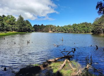 costa-rica/los-santos-region/landmark/lago-don-manuel