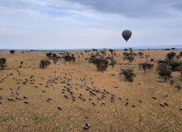tanzania/arusha/landmark/off-the-beaten-path-safaris-ltd